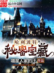 ((HP同人)哈利波特與秘密寶藏
